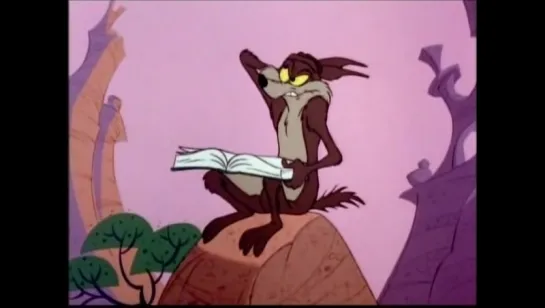 Wile.E.Coyote.and.Road.Runner. 33-42 серия  (vk.com/lezginoids)