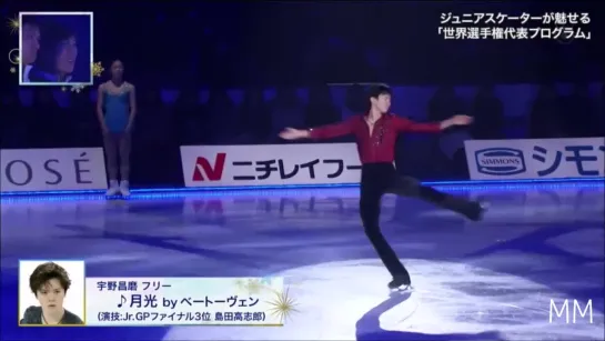 Japanese National Team Support Medley Medalists on Ice 2018