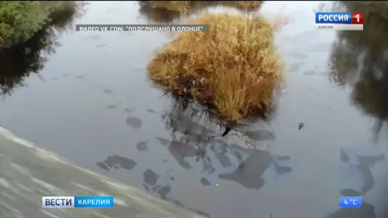 Экологическое ЧП в Олонце