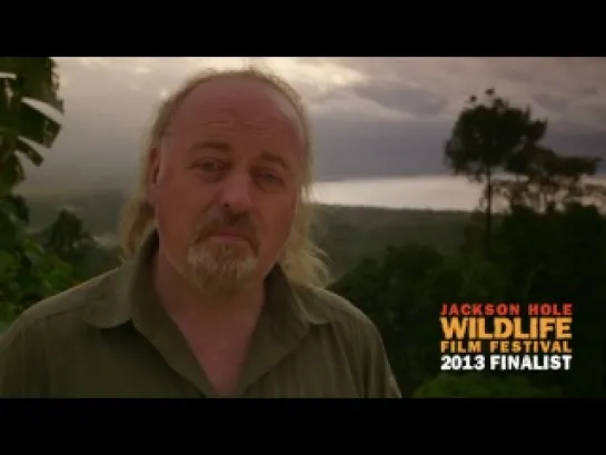 Bill Bailey Jungle Hero  Wallace in the Spice Islands  (Writing)