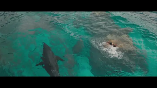 Отмель / The Shallows (2016) ТРЕЙЛЕР №2