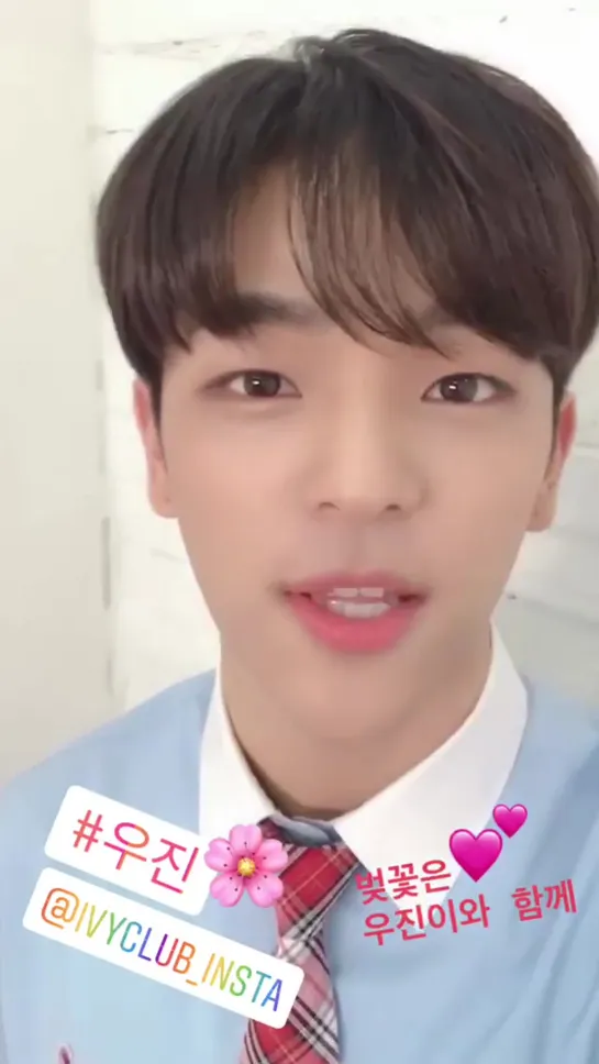 [190404] Stray Kids » Woo Jin » IG Story (@.ivyclub_insta)