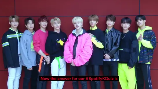 [190330] Stray Kids » Twitter (@.SpotifyKDaebak)