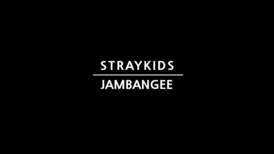 [180425] Stray Kids @ twitter (@.Jambangee_Jeans) STRAY KIDS in J-CAM