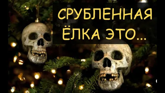 Срубленная елка - традиция или?.. В чем опасность умирающего дерева  в доме и почему...