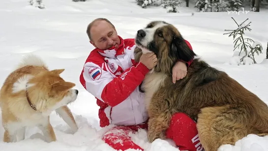 Putin und die Hunde