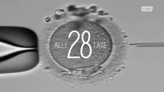 Alle 28 Tage (Dok)