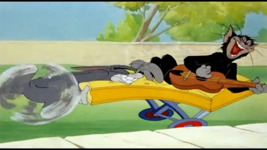 Том и Джерри (Tom & Jerry)