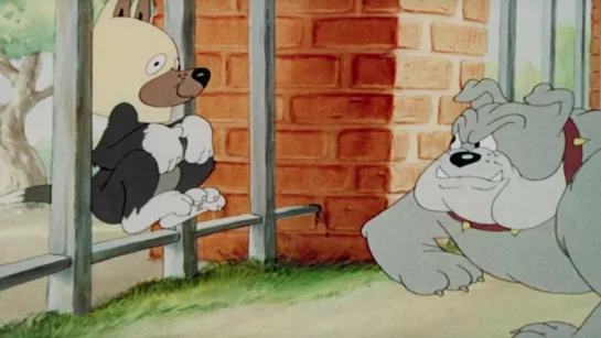 Том и Джерри (Tom & Jerry) В Собачьей Шкуре - Puttin On The Dog (1944)