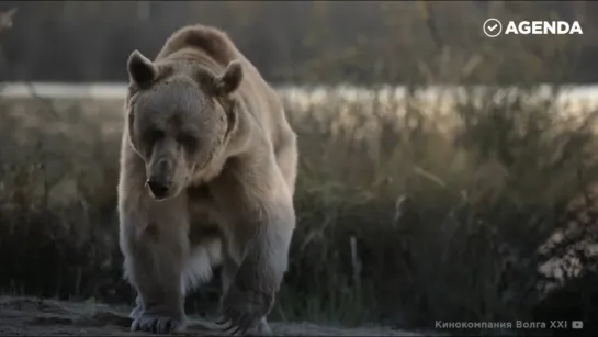 Красоты всей России