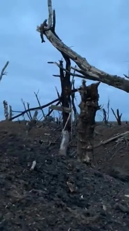 Видео от Военный Осведомитель