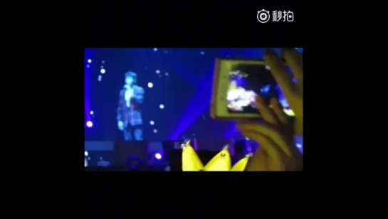 LOSER fancam