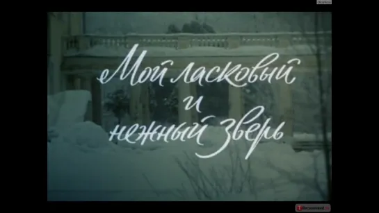 А.Чехов. "Дама на охоте" - Мой ласковый и нежный зверь