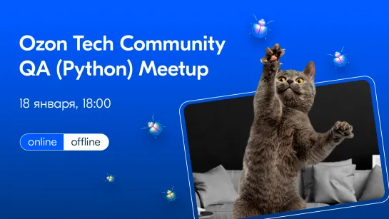 Ozon Tech Community QA(Python) Meetup