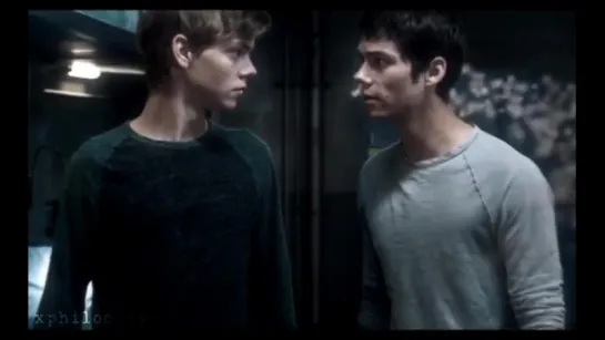 ▸ newtmas [the maze runner]