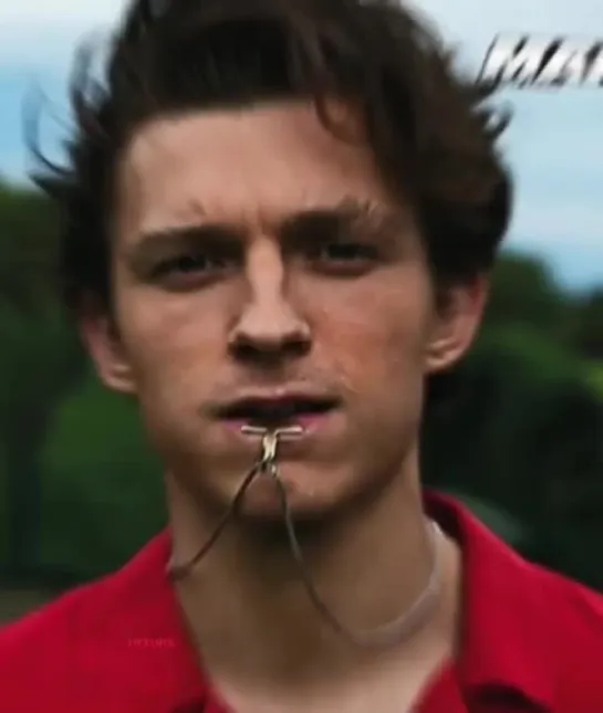 ▸ tom holland