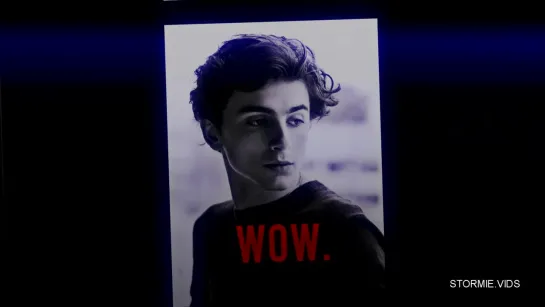 ▸ timothee chalamet