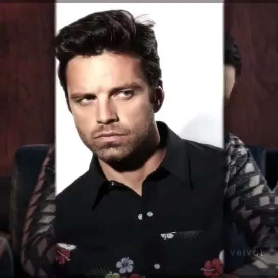 ▸ sebastian stan