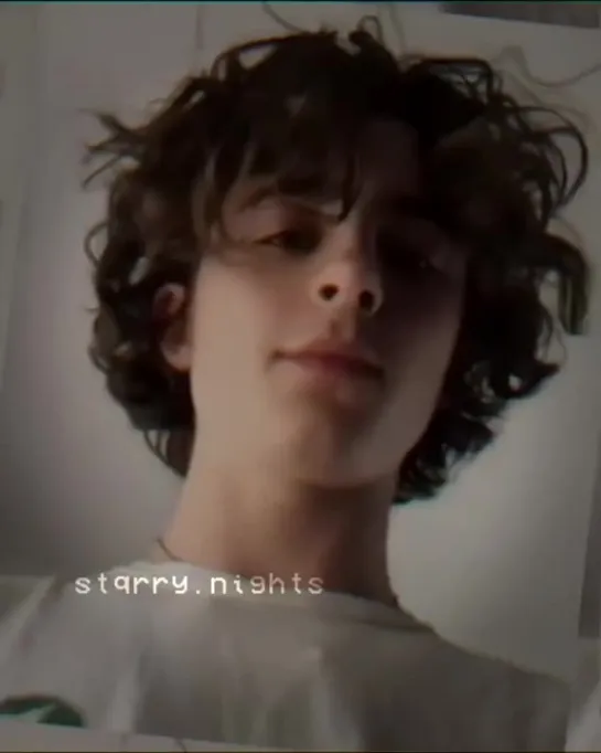 ▸ timothee chalamet