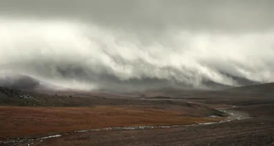 Соль Земли / The Salt of the Earth (Вим Вендерс, 2014)