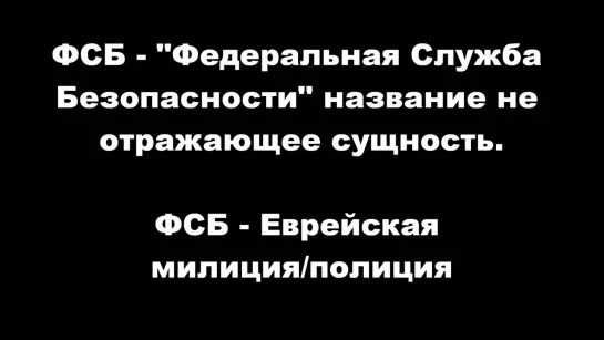 Литвиненко_ Криминальная жидо-иудейская банда