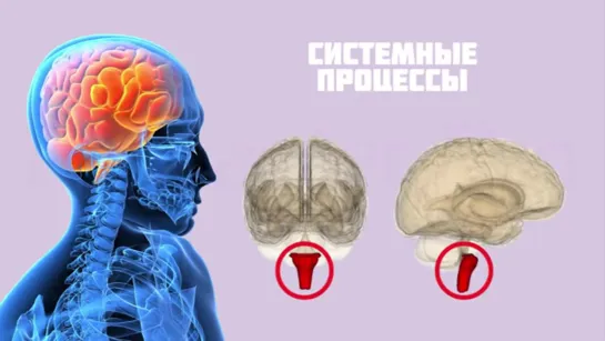 Вирусные приложения мозга