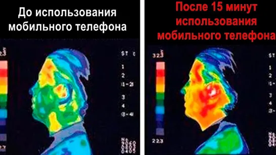 В Европе ЗАПРЕЩАЮТ WiFi в школах и детсадах И на то есть очень тревожная причина_1080p