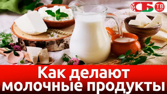 Как делают белорусские молочные продукты сняли на видео