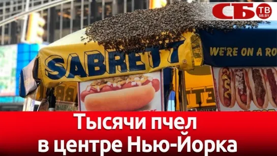 Пчелиный рой захватил тележку продавца хот-догов в Нью-Йорке