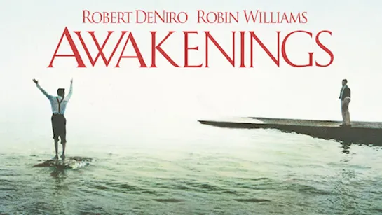 Пробуждение / Awakenings (1990)