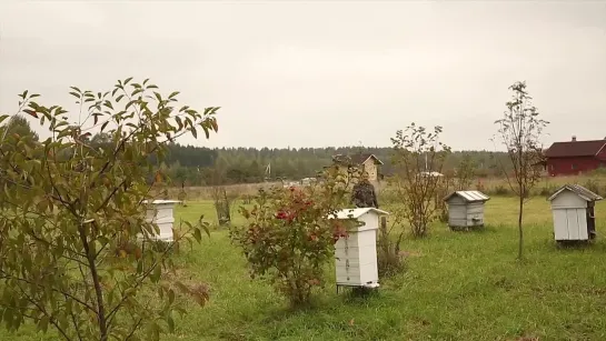 Зарисовки с Родового Поместья выпуск 2, Коховец Эдуард и Юлия