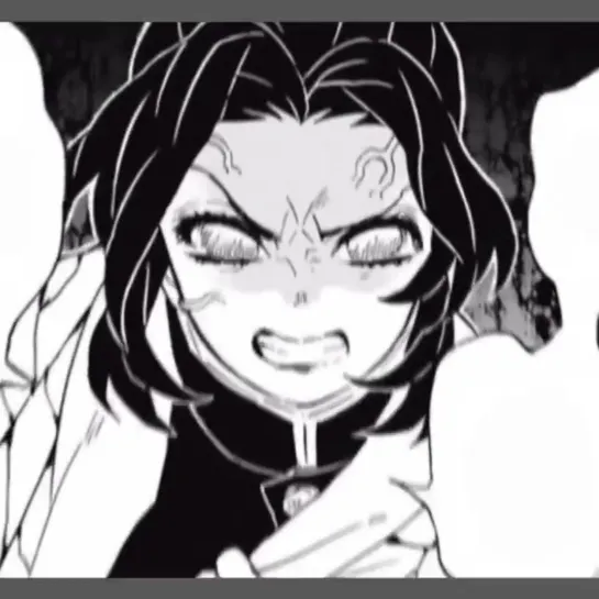 ▹ kimetsu no yaiba; mitsuri & shinobu