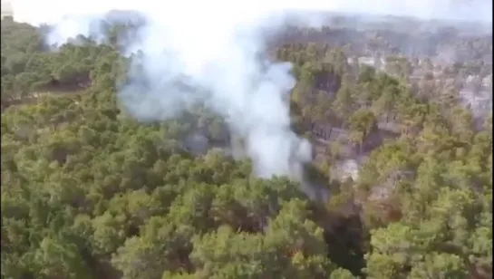 Incendios en Cariló