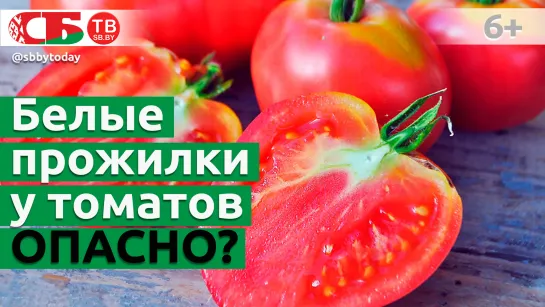 Почему у томатов белая серединка и твердые прожилки? Опасно ли это?