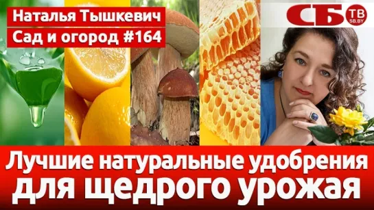 Лучшие натуральные удобрения для щедрого урожая