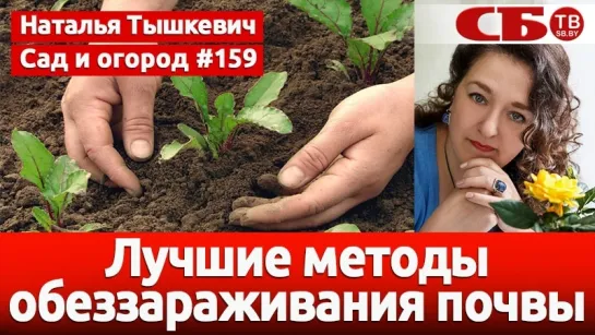 Лучшие методы обеззараживания почвы