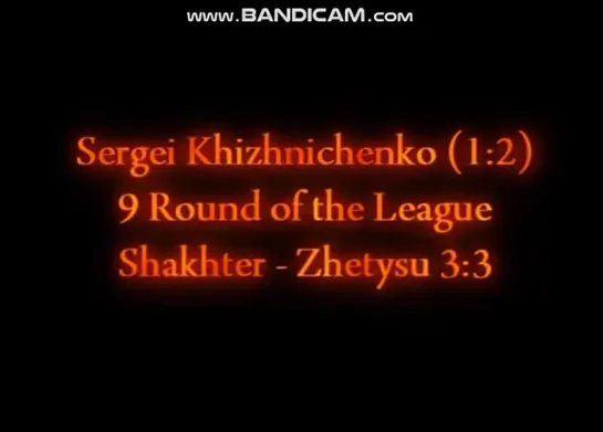 Чемпионские голы Хижниченко за Шахтер за 2011 год