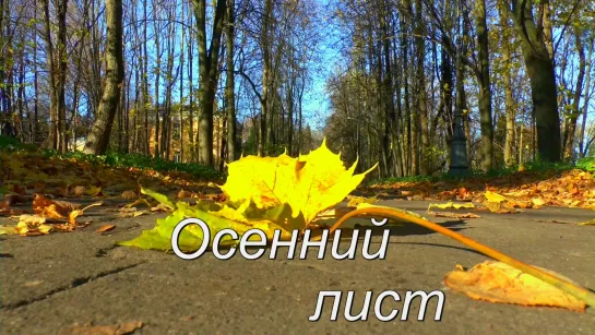 Осенний лист