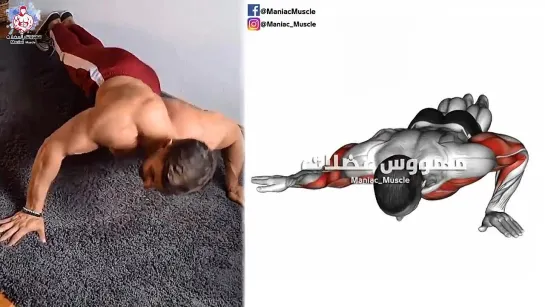 Full Exercise Bodyweight Chest _ Tricep Workout