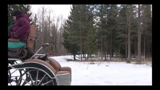 Лучше зайцем,чем пешком!