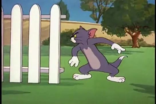 Tom & Jerry 78 серия