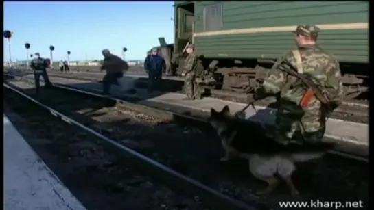 Ждамиров Владимир .Где же воля .