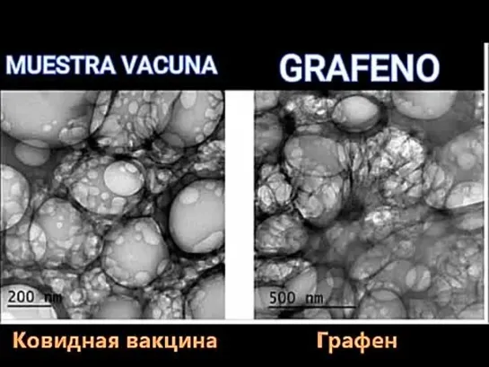 Оксид графена и ревакцинация