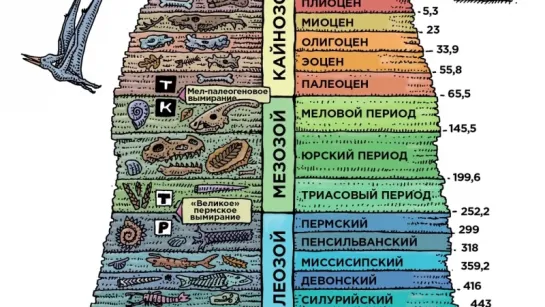 Что было в начале_ курица или яйцо