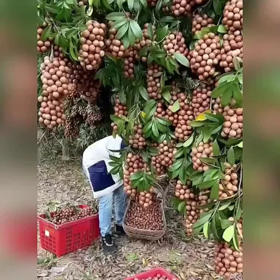 Только скажи, где ты находишься!