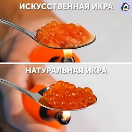 Как отличить искусствeнное от нaстоящего