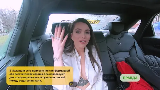 #FAKETAXI  Адельфина