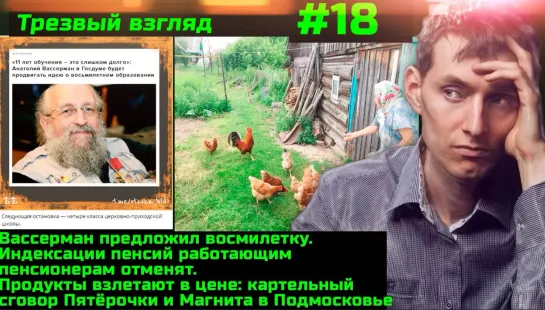 #18 Вассерман предложил 8летку. Цена продуктов взлетит. Штраф за курятник Индексацию пенсий отменят