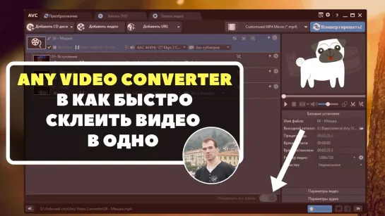 Как быстро склеить несколько видео - Windows, Mac - Any Video Converter