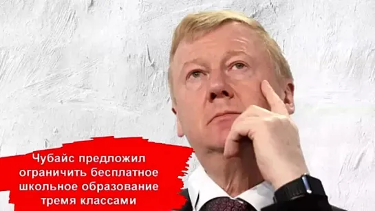 Чубайс предложил ограничить бесплатное школьное образование тремя классами